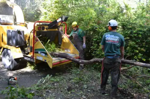 tree services Granville